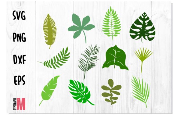 Jungle Leaves Tropical SVG Bundle Review for Real Projects